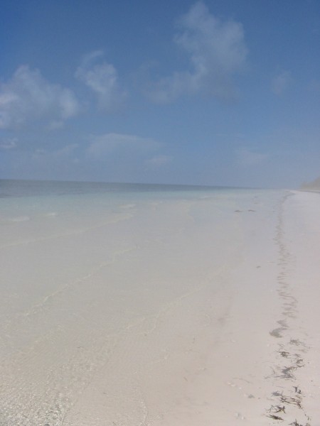 Ocean Pearl Resort & Club - 