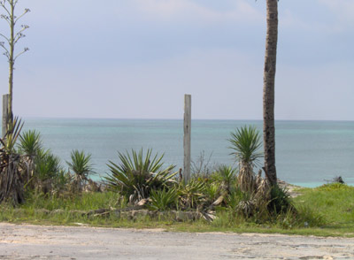 Ocean Pearl Resort & Club - 