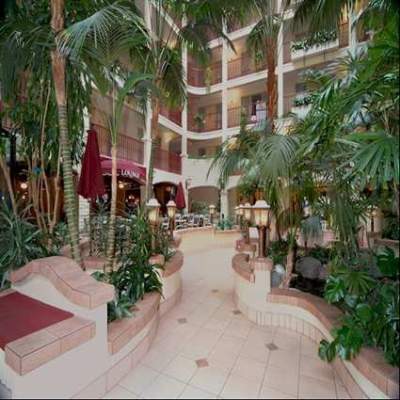 Embassy Suites Arcadia Pasadena Area - Lobby / Atrium Area