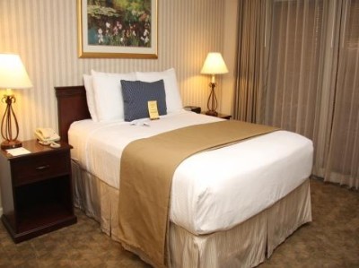 1 Bedroom King