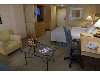 Hilton - 