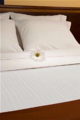 Holiday Inn Express - New Bedding Collection