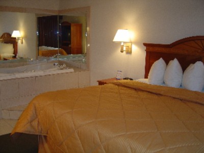 Comfort Inn & Suites University of Michigan - 