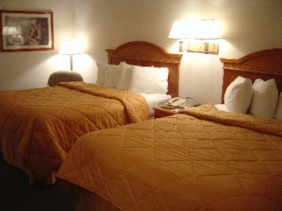 Comfort Inn & Suites University of Michigan - 