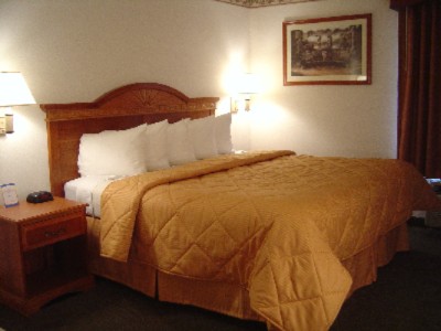 Comfort Inn & Suites University of Michigan - 