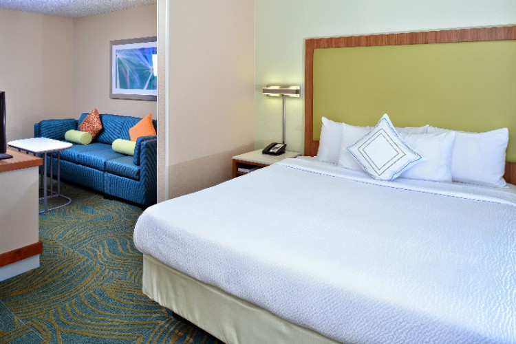 Springhill Suites Arcadia - Queen Queen Studio Suite