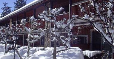 The Lodge