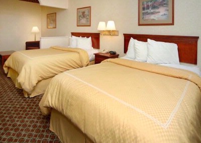 Comfort Suites - Queen Suite