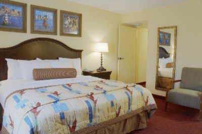 King-bed Suite