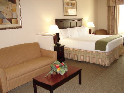 Holiday Inn Express - King Suite