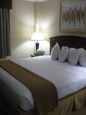 Holiday Inn Express Brooklyn - 