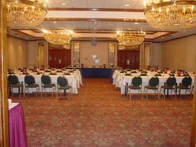The Purple Hotel - 