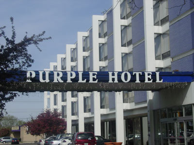 The Purple Hotel - 