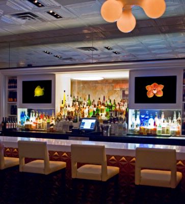 The Copley Square Hotel - 