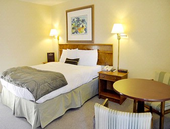 Ramada Vallejo - Single Queen Bed Room