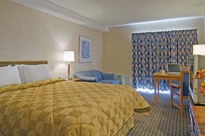 Comfort Inn Downsview - 