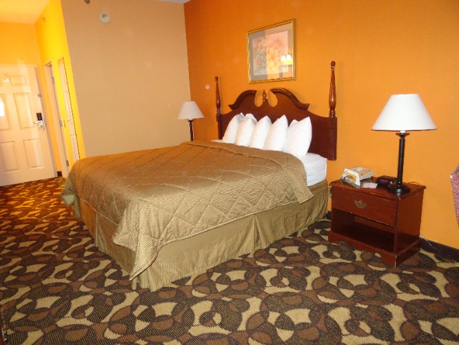 Comfort Inn - 