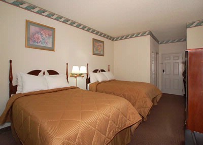 Comfort Inn - 