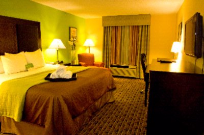 La Quinta Inn & Suites - King Room 2