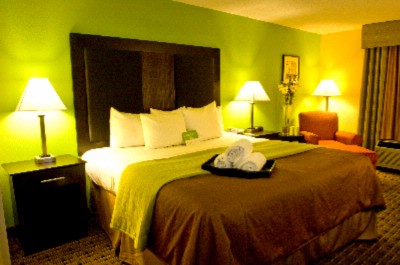 La Quinta Inn & Suites - King Room