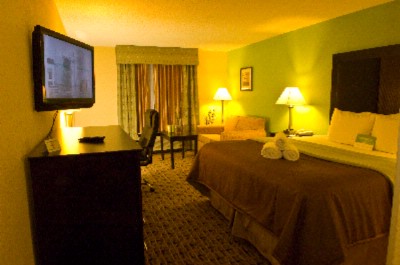La Quinta Inn & Suites - King With Sofa Bed