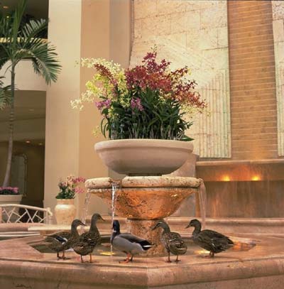 Lobby Duck Fountain