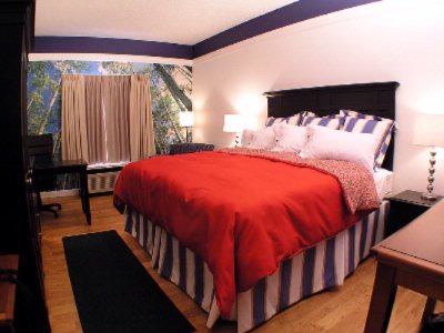 Hotel Indigo - Single Room