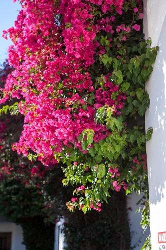 Casa Via Mar Inn & Tennis Club - 