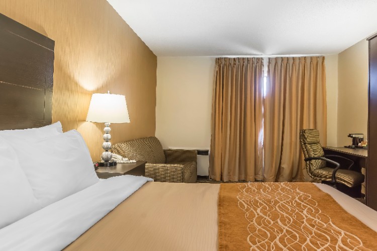 Comfort Inn - One Queen Bed With Pull-out Sofa