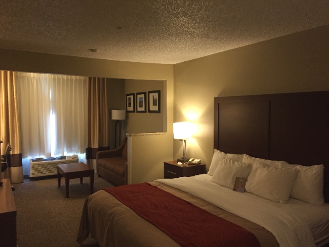 Comfort Inn - King Suite