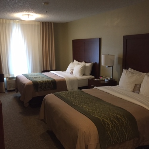 Comfort Inn - Double Queen