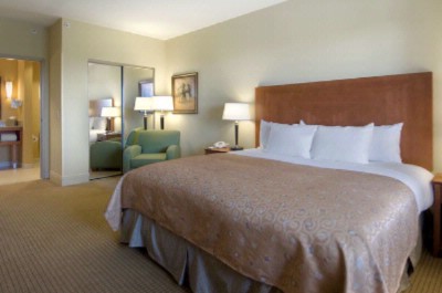 Hilton Carillon Park - Accessible King