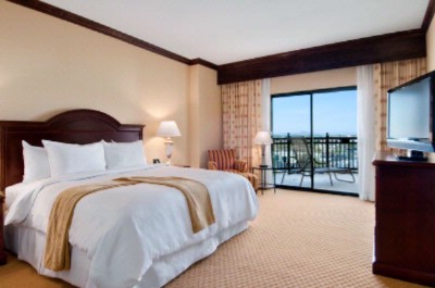 Hilton Phoenix / Chandler - Guestroom