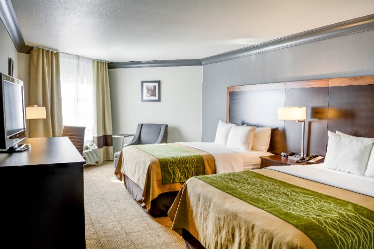 Comfort Inn & Suites - 