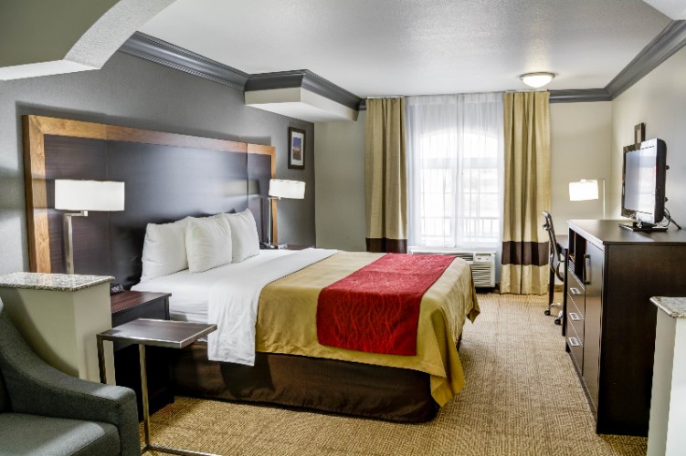 Comfort Inn & Suites - 