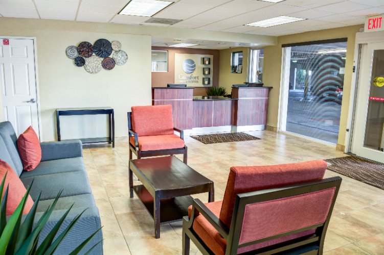 Comfort Inn & Suites - 