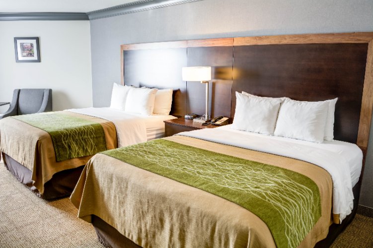 Comfort Inn & Suites - 