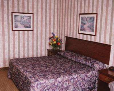 Holiday Inn Express Layton Utah - Guest Room