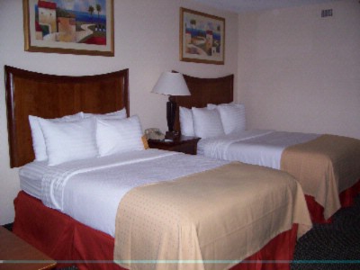 Guest Rooms: Two Double Beds