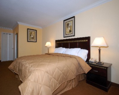 Comfort Inn & Suites - 