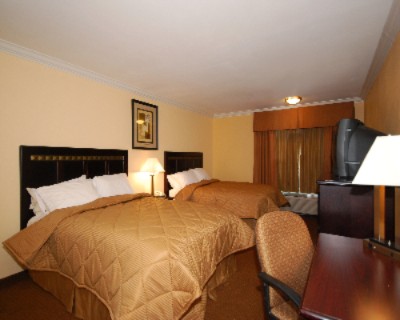 Comfort Inn & Suites - 