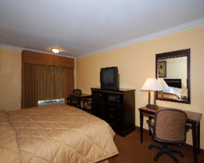 Comfort Inn & Suites - 