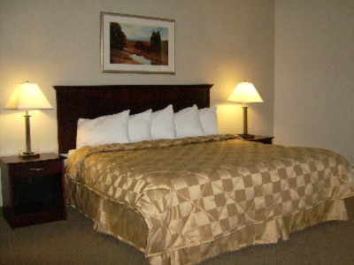 Comfort Inn & Suites - King Suite