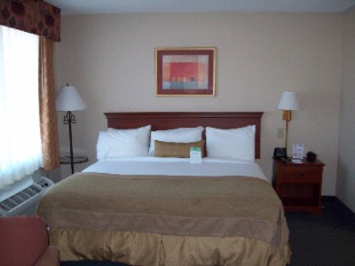 Wingate by Wyndham - Guest Room With New Linens
