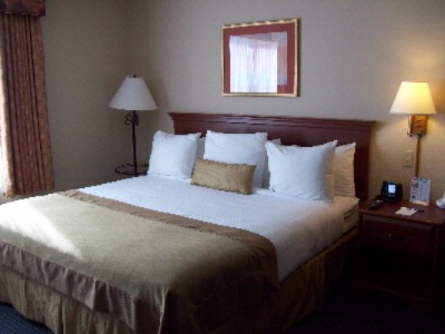 Wingate by Wyndham - Guest Room With New Linens