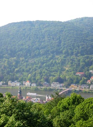 Molkenkur - View Over Heidelberg From Our Terrace