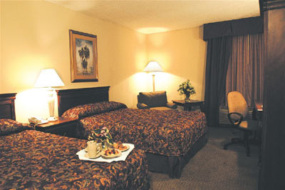 Holiday Inn Patriots Point - Double Bed Room