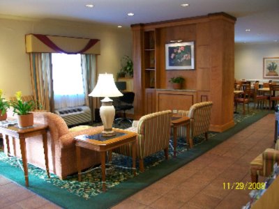Fairfield Inn & Suites Tampa North - Lobby Area With 24 Hour Business Center