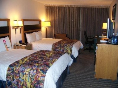 Wyndham Nassau Resort & Crystal Palace Casino - Renovated Dbl Dbl Room