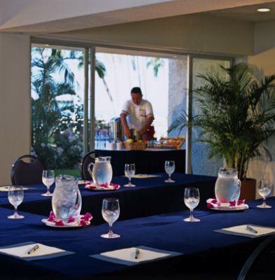 Sheraton Buganvilias Resort & Convention Center - Executive Meeting Room